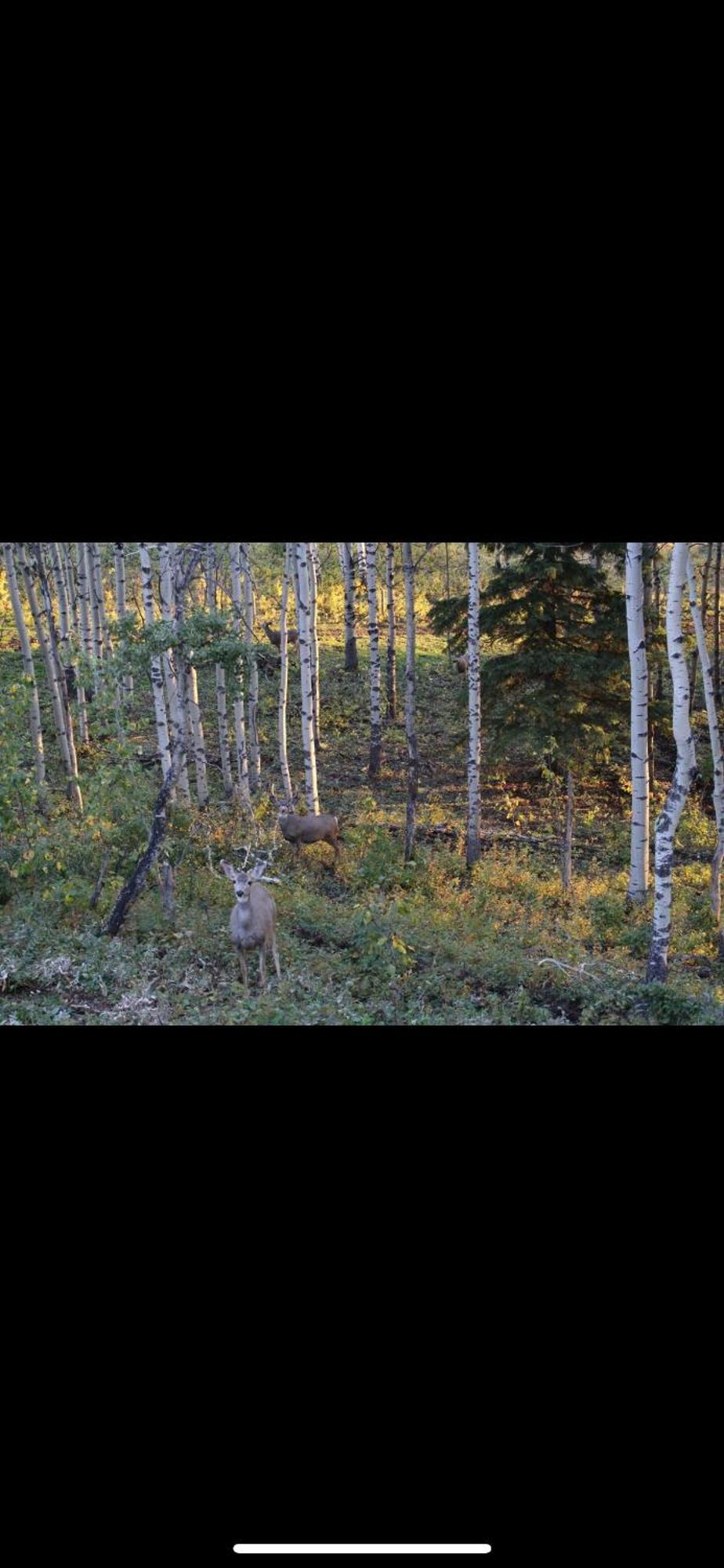 Вилла Heart West Haven Priddis Экстерьер фото